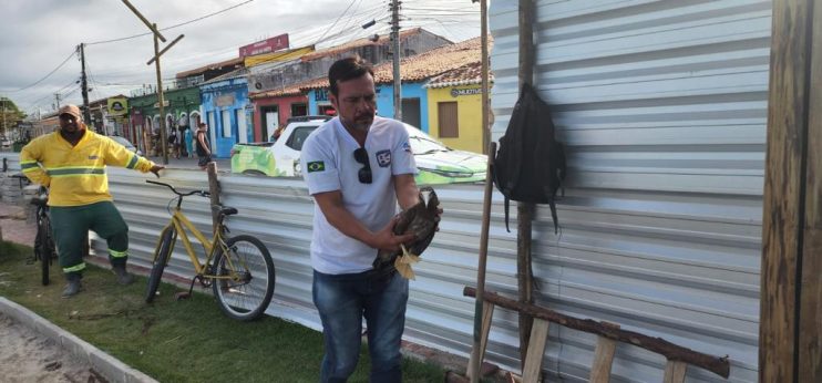 ATOBÁ-PARDO É RESGATADO NA PASSARELA DA CULTURA 13