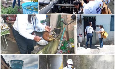 Porto Seguro fortalece ações de combate à dengue 11