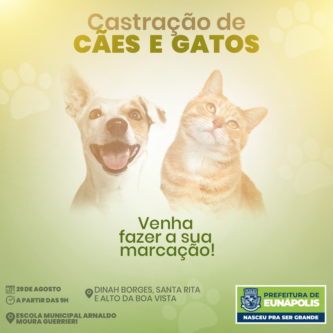 CCZ realiza terceira etapa do agendamento de castrações de animais nesta segunda-feira 6