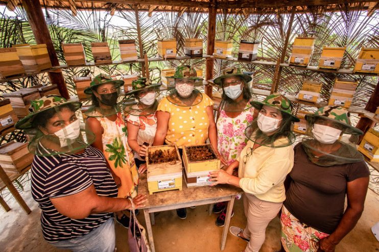 Produção de grupos femininos fortalece renda de comunidades no Sul da Bahia 4