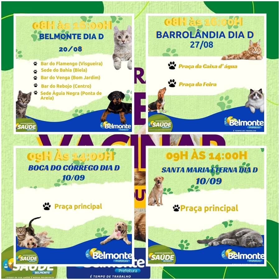 Belmonte: Prefeitura divulga a campanha de vacinação antirrábica, voltada para cães 6