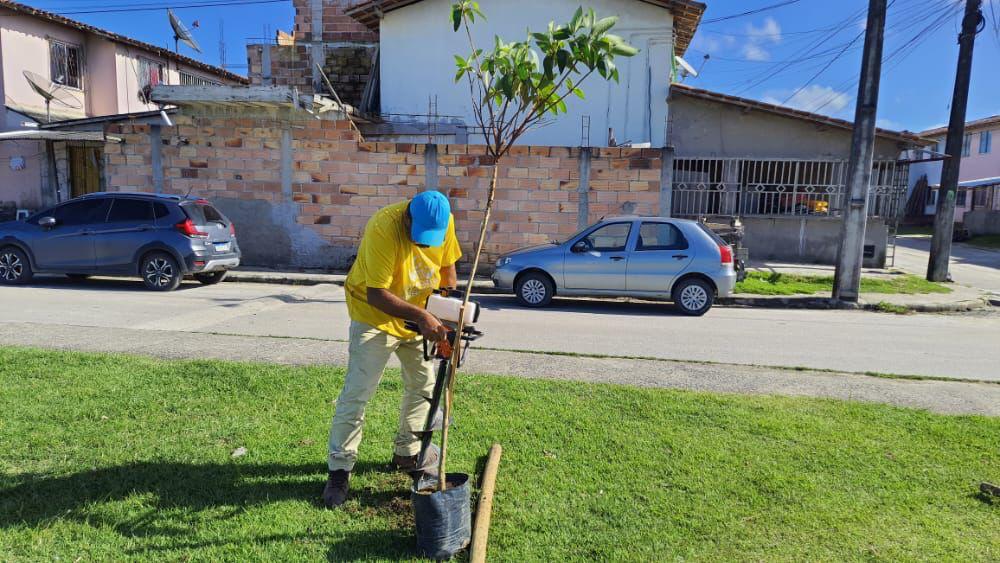 Porto Seguro Verde: projeto de arborização contempla Praça da Vila Valdete 20