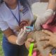 Vacinação antirrábica supera metas em Porto Seguro 119,8% 100
