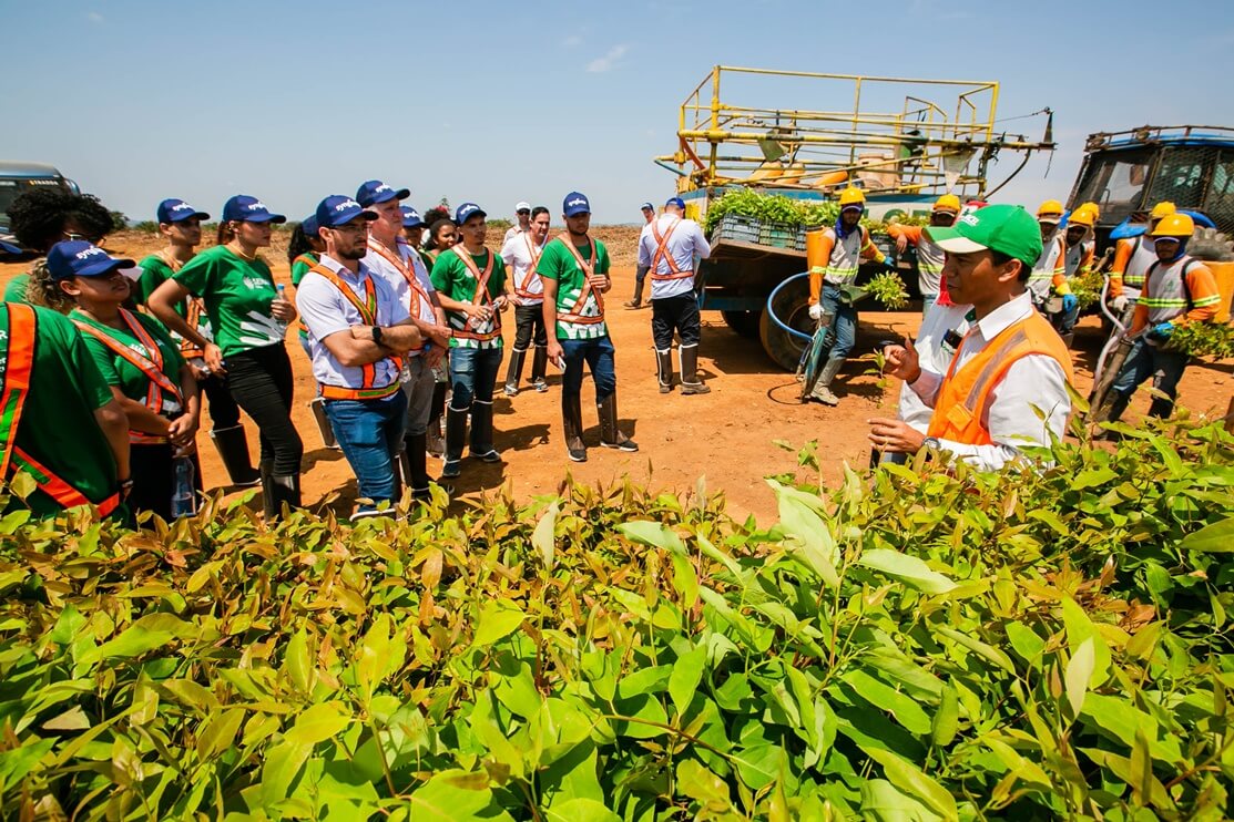 Com informações sobre tecnologias e inovações, Fórum Brasil Agroflorestal impulsionou desenvolvimento econômico regional 27