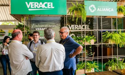 Com informações sobre tecnologias e inovações, Fórum Brasil Agroflorestal impulsionou desenvolvimento econômico regional 10