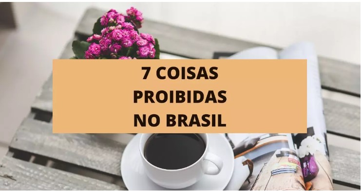 7 coisas proibidas no Brasil 18