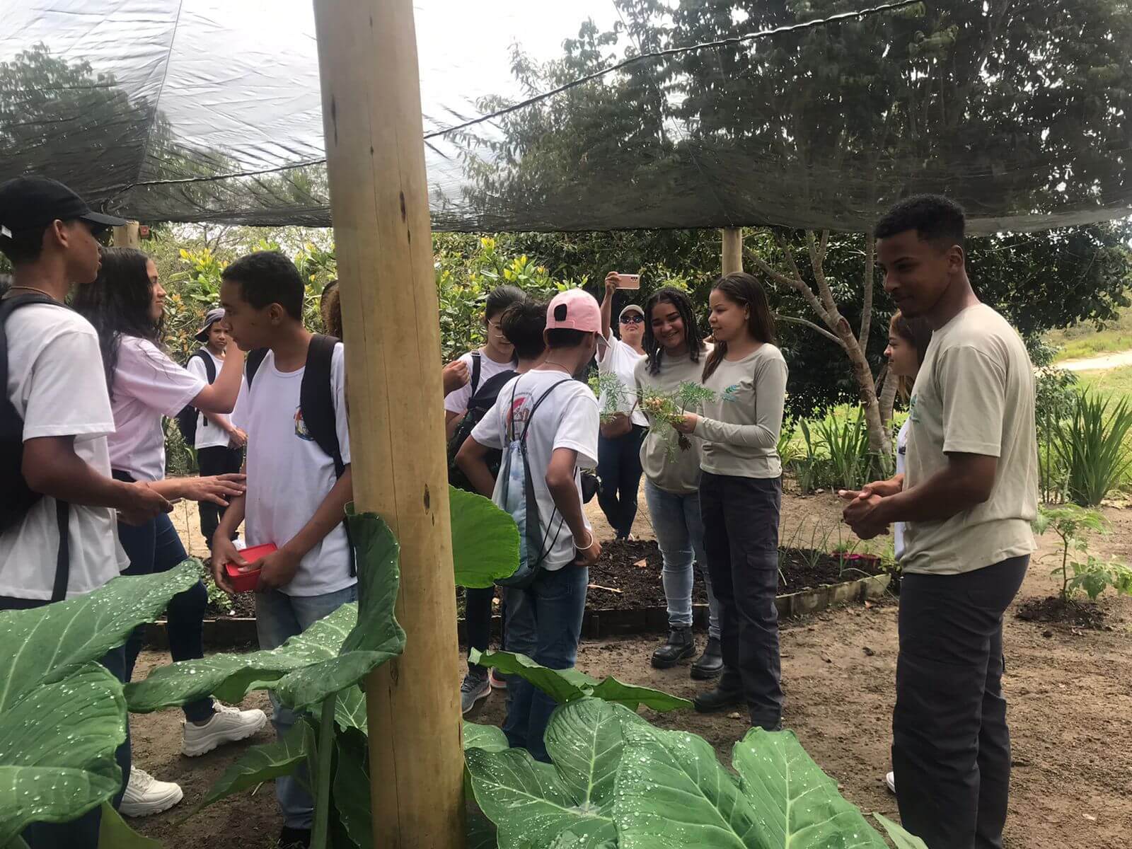 EDUCAÇÃO AMBIENTAL: Projeto Conhecer Para Preservar leva estudantes a RPPN Rio do Brasil 7