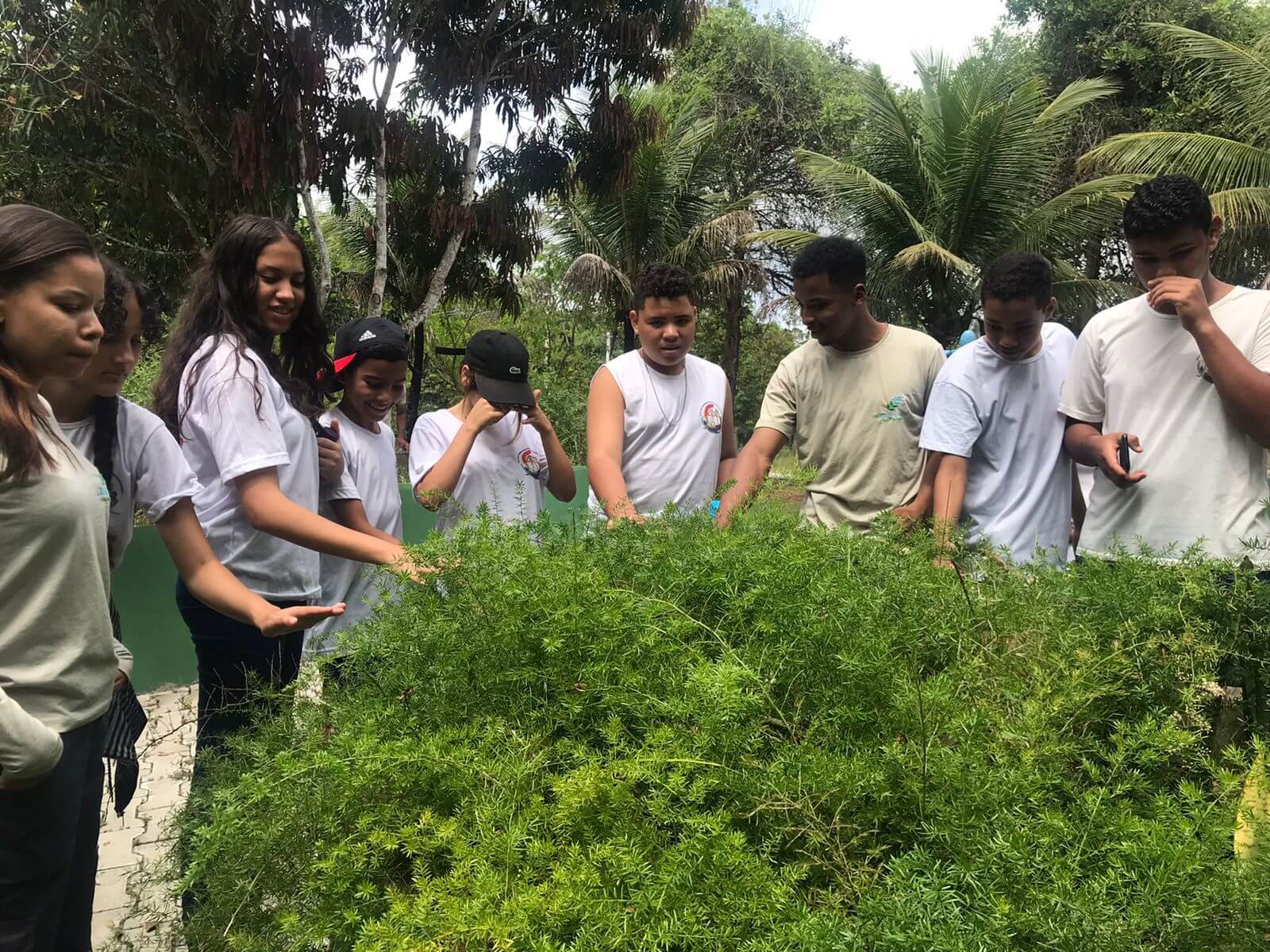 EDUCAÇÃO AMBIENTAL: Projeto Conhecer Para Preservar leva estudantes a RPPN Rio do Brasil 6