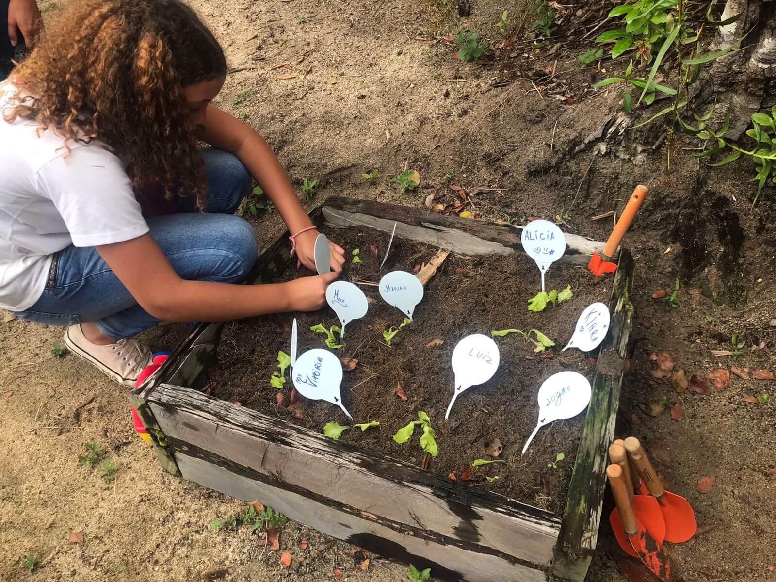 EDUCAÇÃO AMBIENTAL: Projeto Conhecer Para Preservar leva estudantes a RPPN Rio do Brasil 8