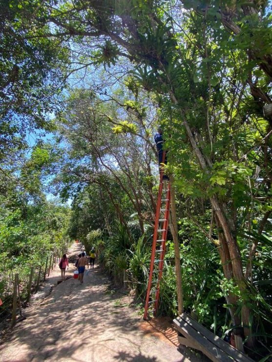 Beco da Praia ganha iluminação em LED e pavimentação 4