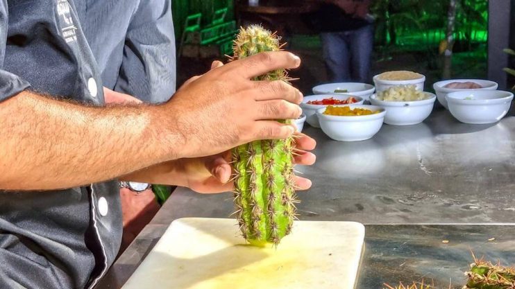 WhatsApp Image 2022-11-22 at 13.19.18 (2) Mandacaru é destaque no encerramento da 4ª edição do Festival Gastronômico Equina do Mundo 20