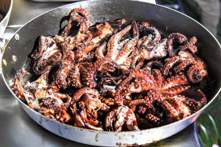 WhatsApp Image 2022-11-22 at 13.19.18 (5) Mandacaru é destaque no encerramento da 4ª edição do Festival Gastronômico Equina do Mundo 15