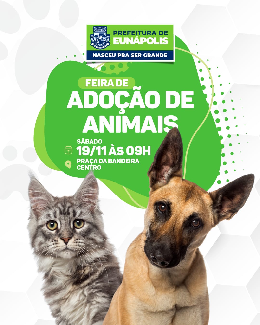 Prefeitura de Eunápolis realiza 2ª Feira de Adoção com animais resgatados neste sábado 21