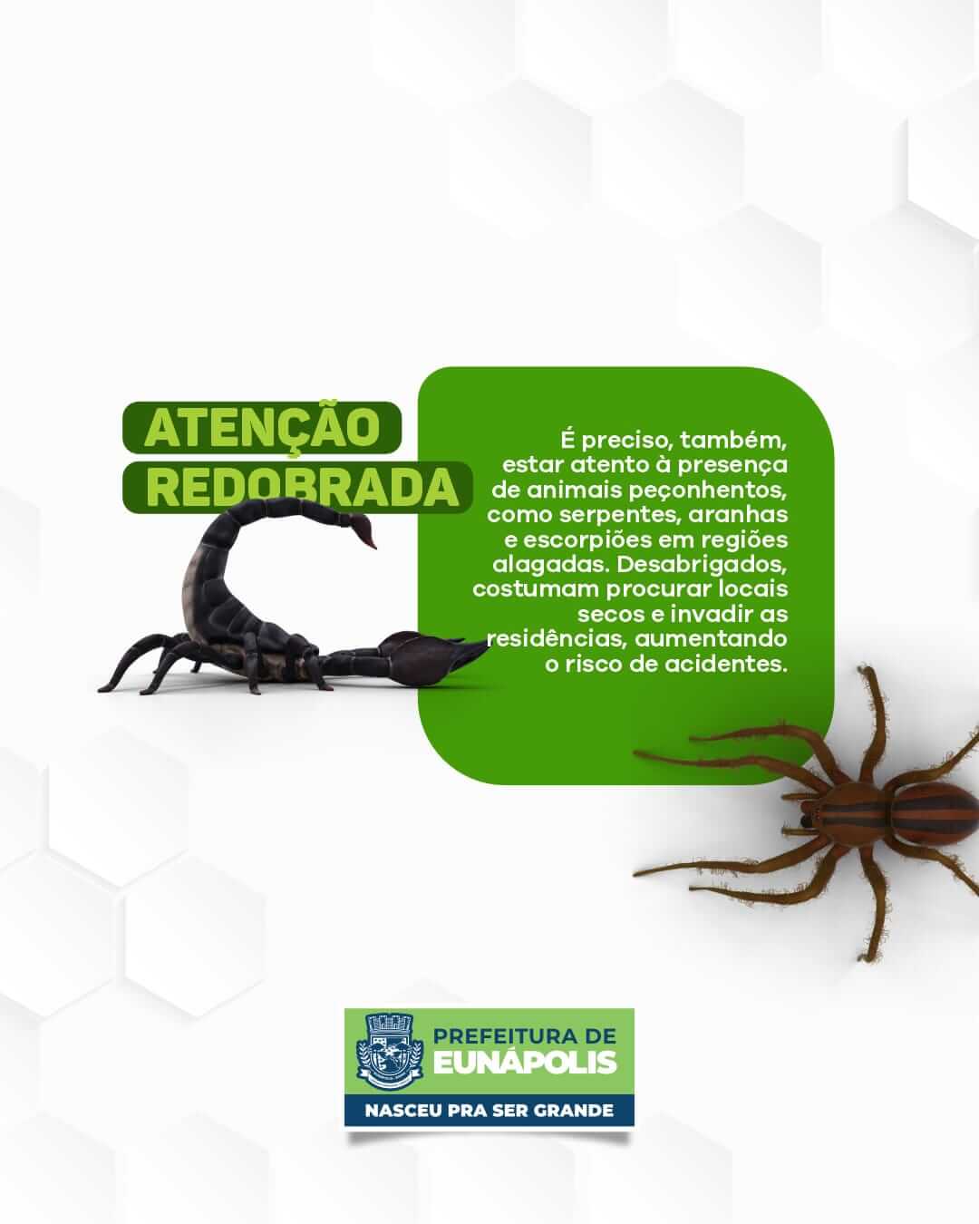 Vigilância Sanitária de Eunápolis alerta população sobre os cuidados básicos após enchentes 8