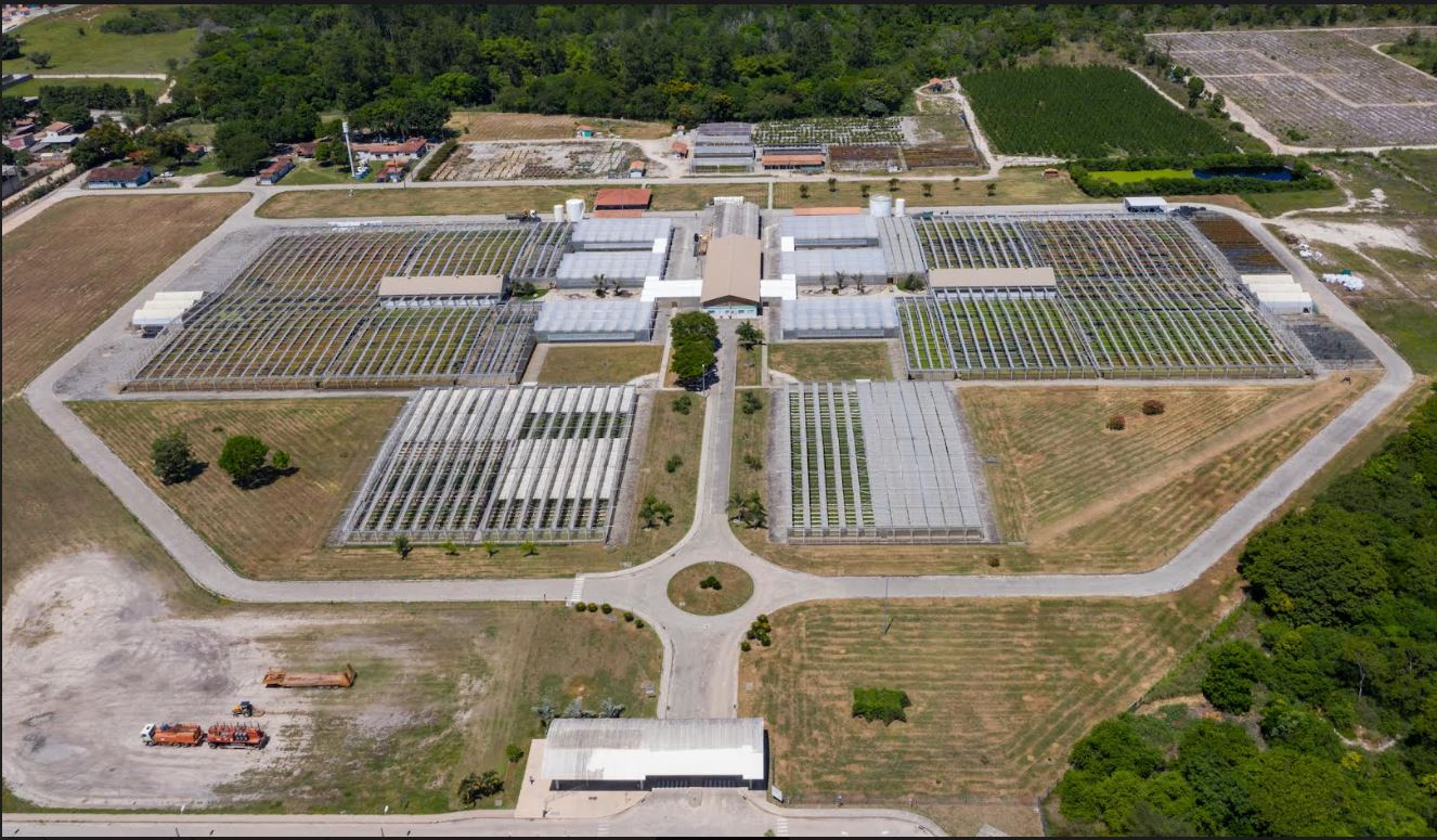 Veracel investe R$72 milhões para o fortalecimento de suas parcerias florestais 5