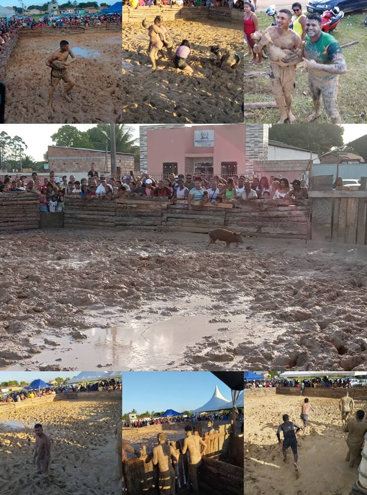 Pela primeira vez na Bahia é realizado o 1º Festival do Pega Leitão 4