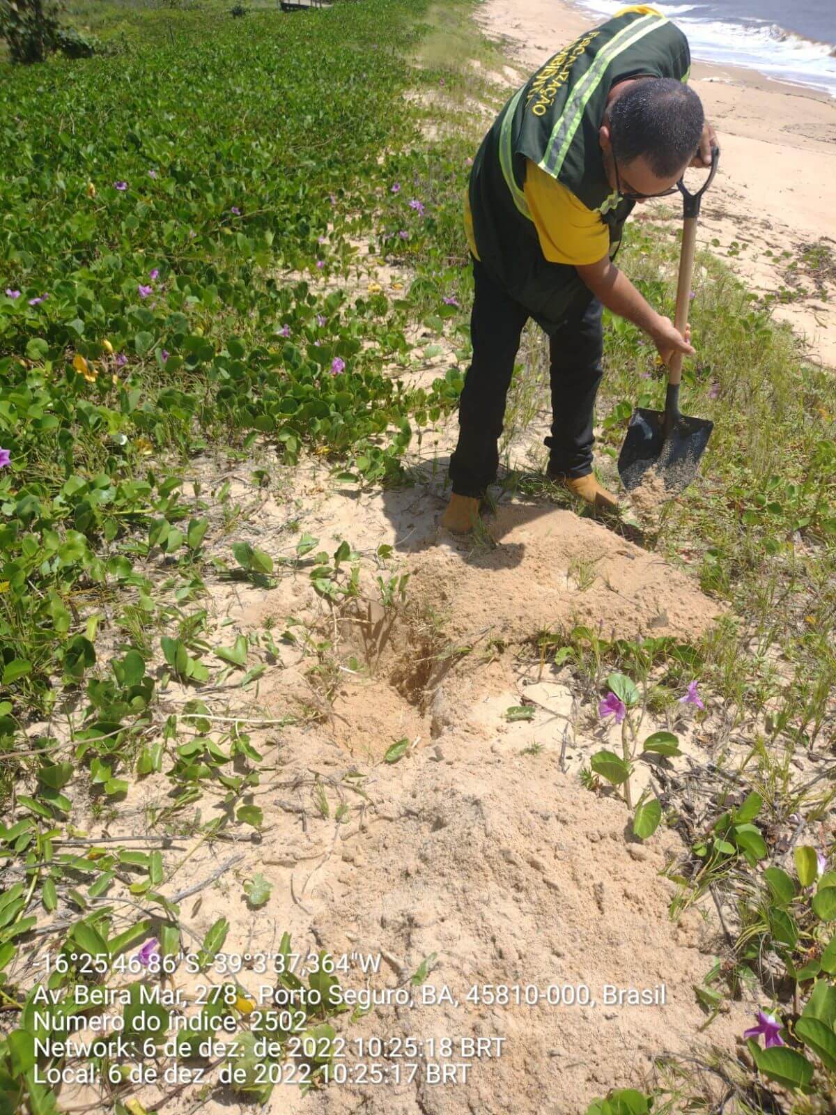 Tartaruga morta é recolhida em praia da Orla Norte de Porto Seguro 7