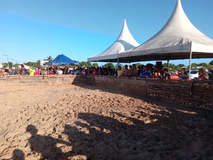 Pela primeira vez na Bahia é realizado o 1º Festival do Pega Leitão 25