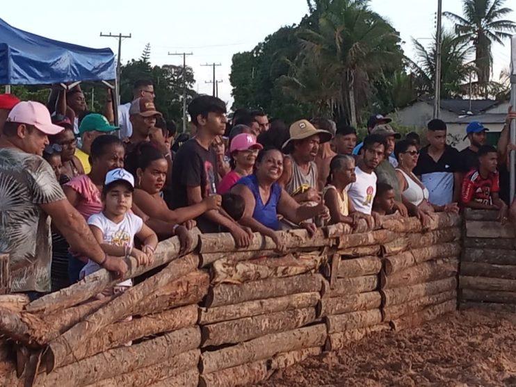 Pela primeira vez na Bahia é realizado o 1º Festival do Pega Leitão 27