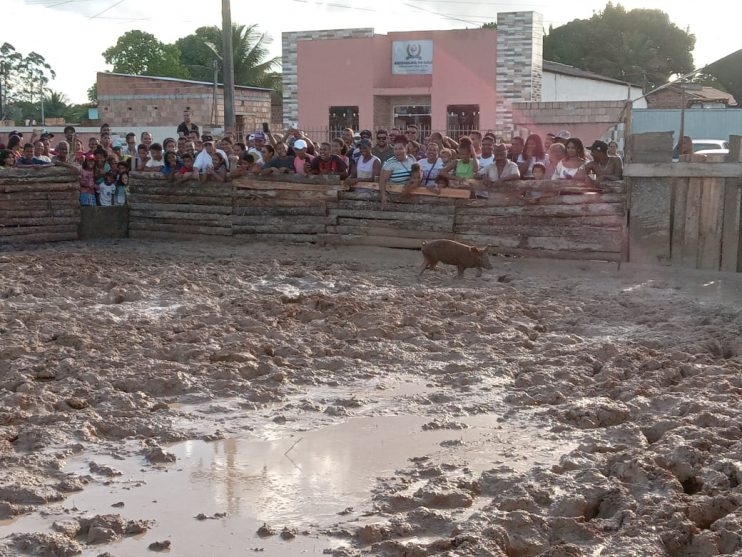 Pela primeira vez na Bahia é realizado o 1º Festival do Pega Leitão 28