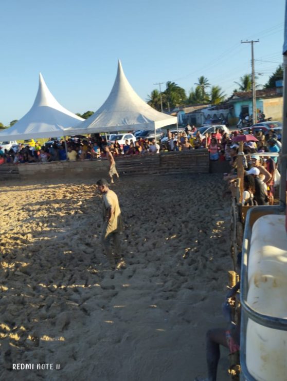 Pela primeira vez na Bahia é realizado o 1º Festival do Pega Leitão 31