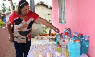 Prefeitura de Eunápolis promove curso sobre beneficiamento do mel para mulheres do campo 16