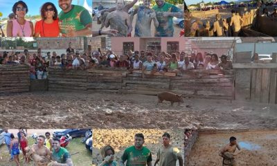 Pela primeira vez na Bahia é realizado o 1º Festival do Pega Leitão 30