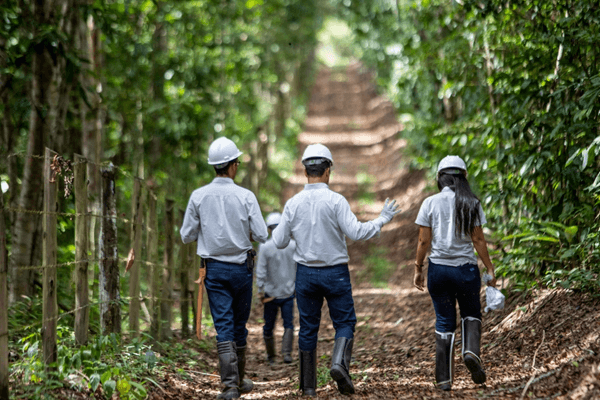 No Dia Nacional das RPPNs, Estação Veracel segue como uma das mais representativas reservas particulares do país No Dia Nacional das RPPNs, Estação Veracel segue como uma das mais representativas reservas particulares do país 6