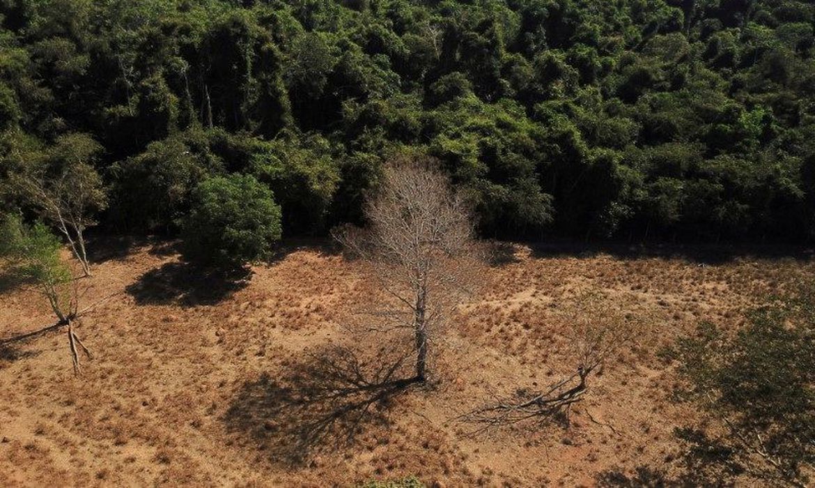 BNDES bloqueia financiamento a 58 proprietários rurais que desmataram 18