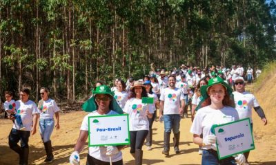 Suzano: Ação cria corredores ecológicos e conecta fragmentos florestais chega à Bahia 19