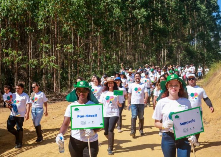 Suzano: Ação cria corredores ecológicos e conecta fragmentos florestais chega à Bahia 11