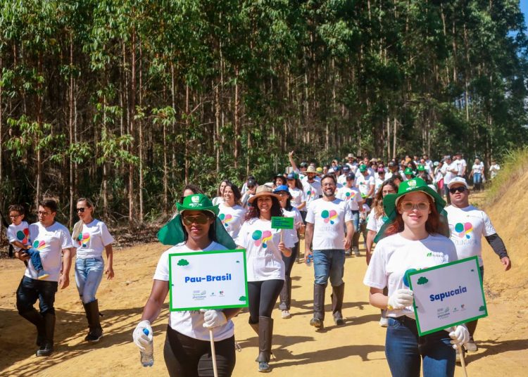 Suzano: Ação cria corredores ecológicos e conecta fragmentos florestais chega à Bahia 4