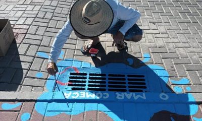 VIDA MARINHA: projeto educativo retrata Parque Marinho do Recife de Fora 34