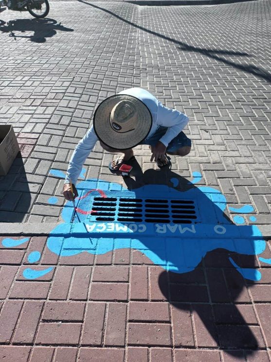 VIDA MARINHA: projeto educativo retrata Parque Marinho do Recife de Fora 5