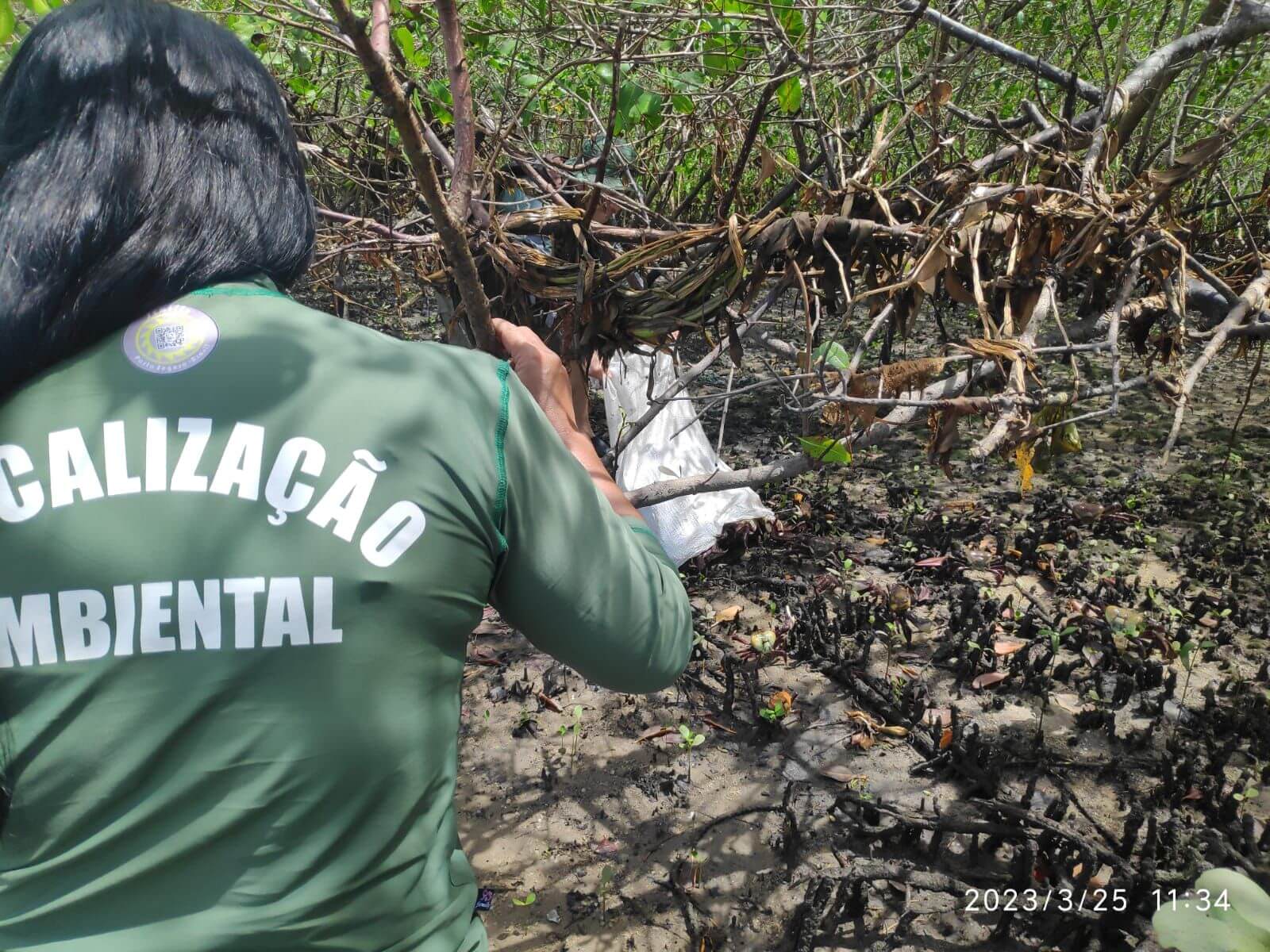 FISCALIZAÇÃO AMBIENTAL COÍBE CAPTURA E COMERCIALIZAÇÃO DE CARANGUEJO 19