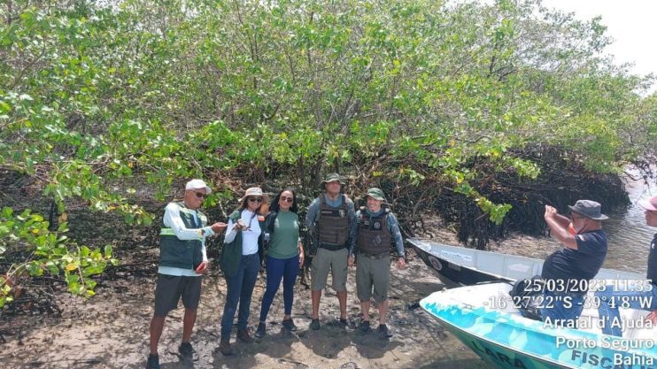 FISCALIZAÇÃO AMBIENTAL COÍBE CAPTURA E COMERCIALIZAÇÃO DE CARANGUEJO 12