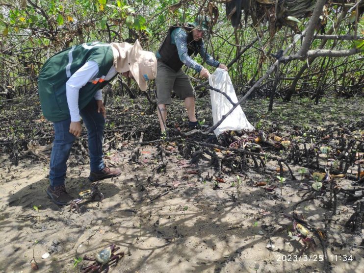 FISCALIZAÇÃO AMBIENTAL COÍBE CAPTURA E COMERCIALIZAÇÃO DE CARANGUEJO 21