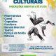 Prefeitura de Eunápolis abre pré-inscrições para diversas oficinas culturais 17