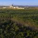 Voluntários da Rede de Percepção de Odor, ação pioneira da Veracel na Bahia para controle ambiental, debatem resultados e futuro do programa 22