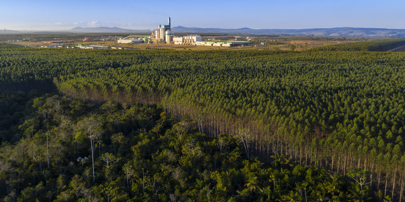 Voluntários da Rede de Percepção de Odor, ação pioneira da Veracel na Bahia para controle ambiental, debatem resultados e futuro do programa 16