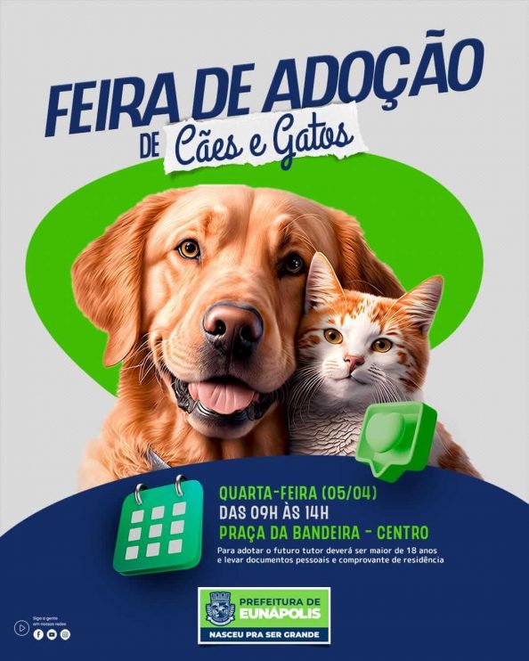Prefeitura de Eunápolis promove Feira de Adoção de Cães e Gatos nesta quarta-feira 7