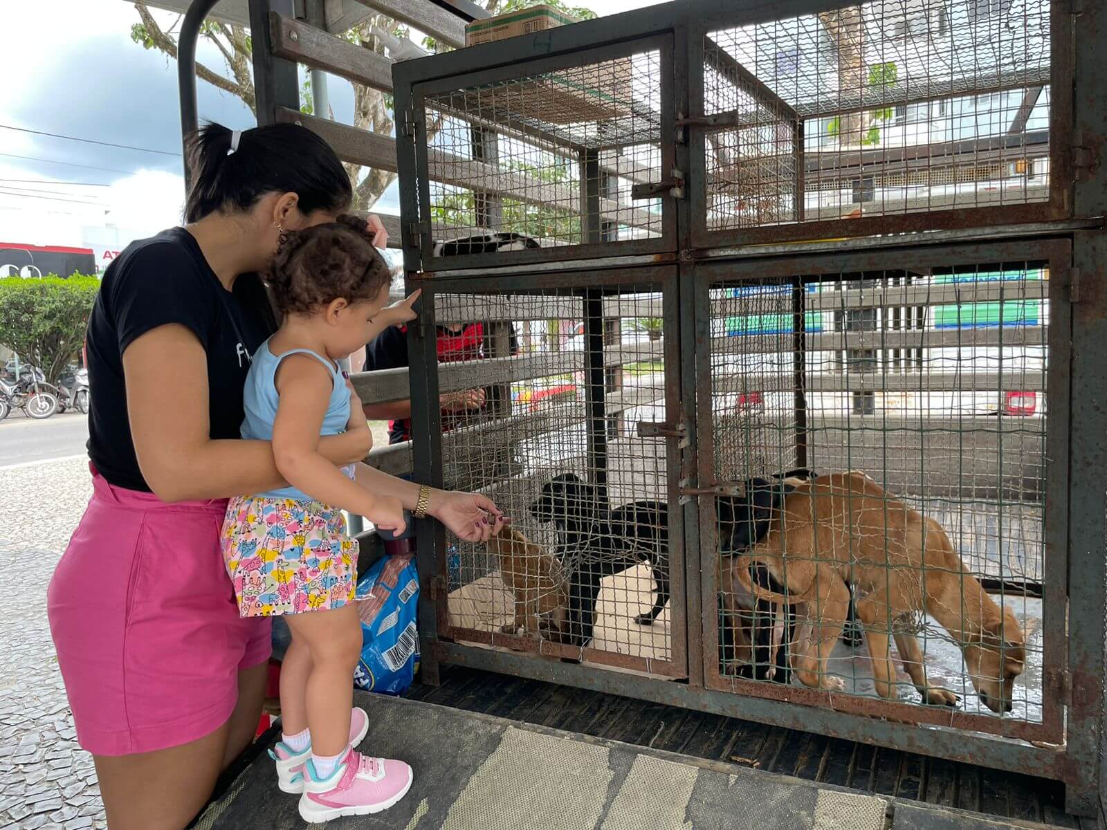Eunápolis: 35 animais são adotados em Feira de Adoção de Cães e Gatos 27
