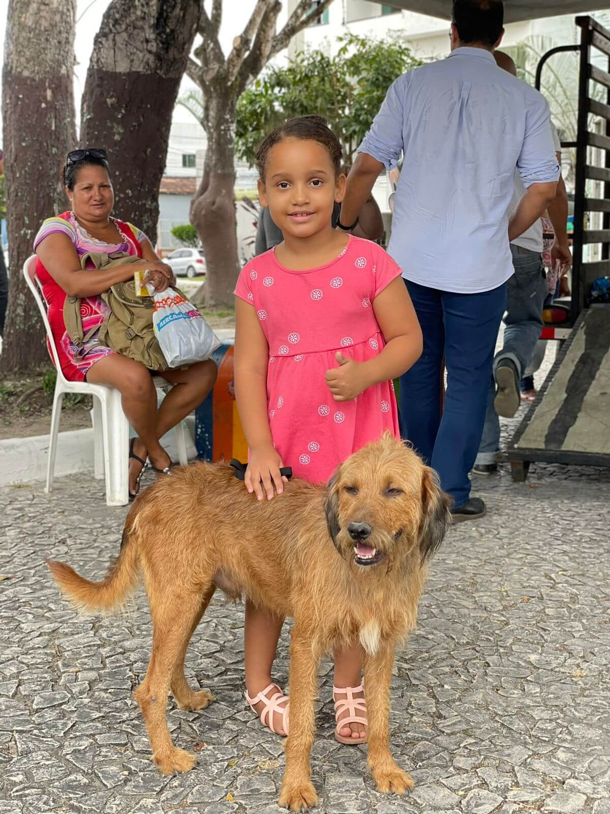 Eunápolis: 35 animais são adotados em Feira de Adoção de Cães e Gatos 28