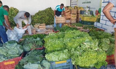 Porto Seguro adquire 93 toneladas de alimentos de pequenos agricultores 65
