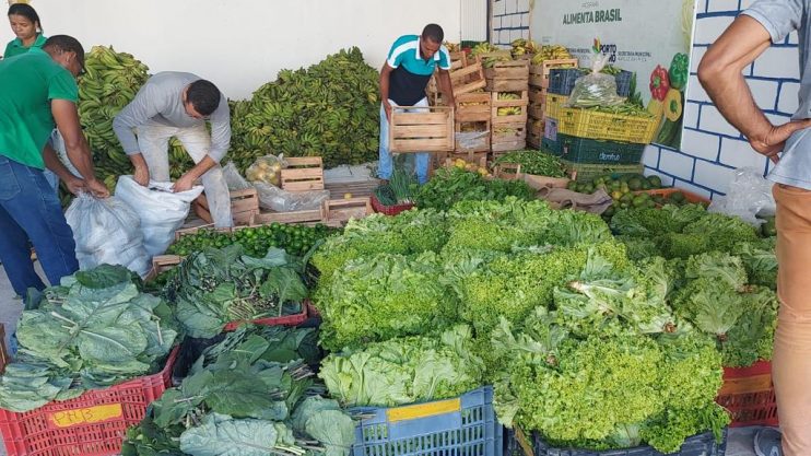 Porto Seguro adquire 93 toneladas de alimentos de pequenos agricultores 13