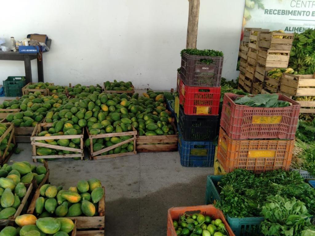 Porto Seguro adquire 93 toneladas de alimentos de pequenos agricultores 8
