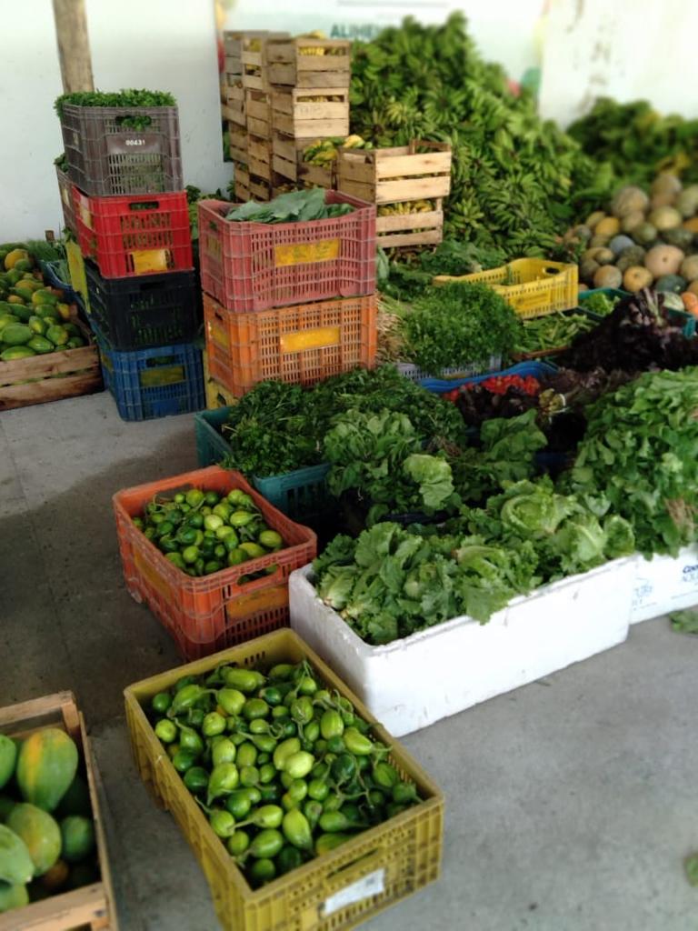 Porto Seguro adquire 93 toneladas de alimentos de pequenos agricultores 64