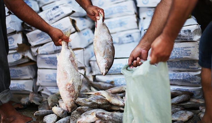 Semana Santa: Prefeitura de Eunápolis entrega 18 toneladas de peixe nesta quarta-feira 8