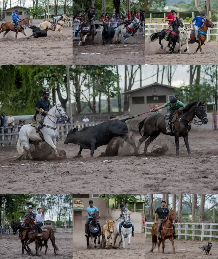 Bolão e Forró do Parque reuniu centenas de amantes do esporte equestre 16