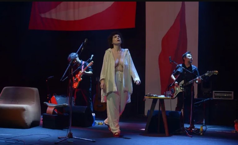 Adriana Calcanhotto mostra seios durante show em Salvador; veja fotos 7